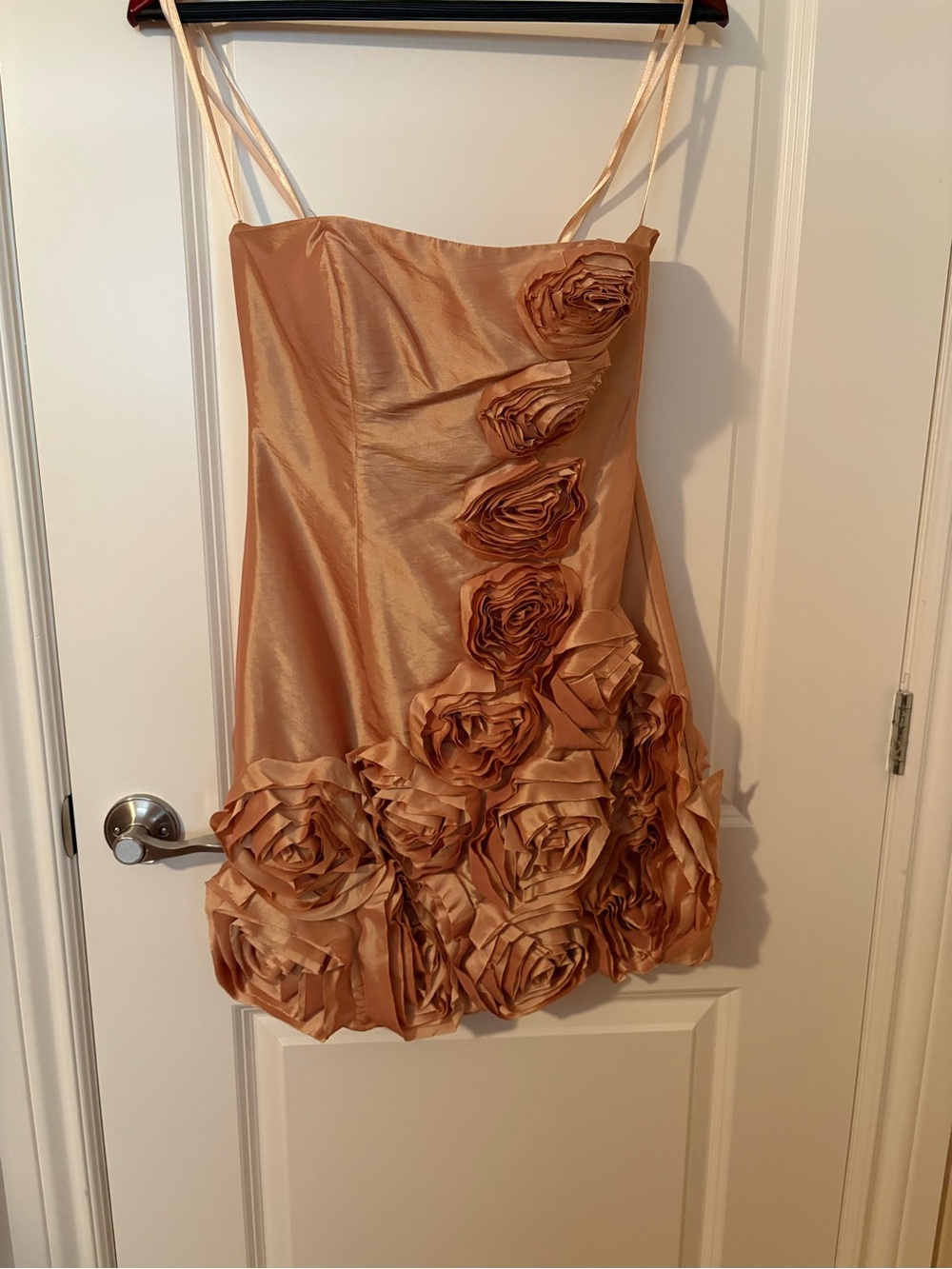 Strapless Rose-Appliqué Party Dress in Champagne
